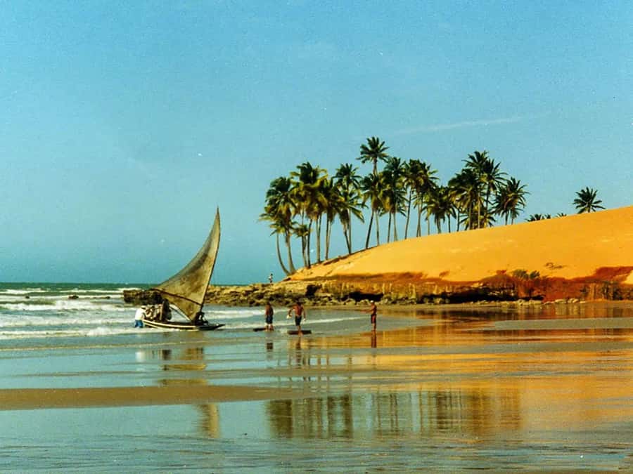 Explore Lagoinha Beach: Full-Day Guided Tour Experience - What the guide adds, and where communication may be harder