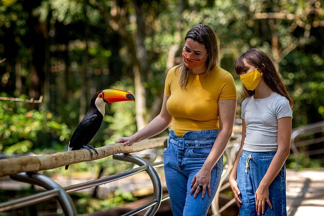 Explore Parque das Aves with a Guided Tour VIP - What the guide adds to the visit
