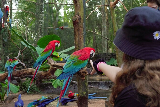 Explore Parque das Aves with a Guided Tour VIP - Shared or private: clarify this before you pay