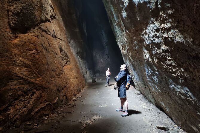 Explore the Best of Tijuca Forest – Hike to Peaks, Caves & Falls - The Main Tijuca Forest Walk Requires Real Effort