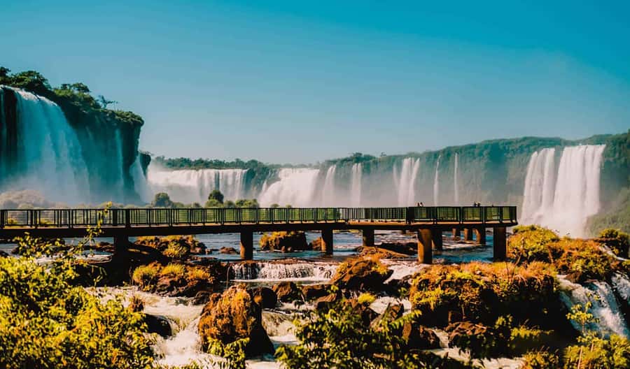 Explore the Falls, Bird Park and Macuco Safari - Key things to know before booking
