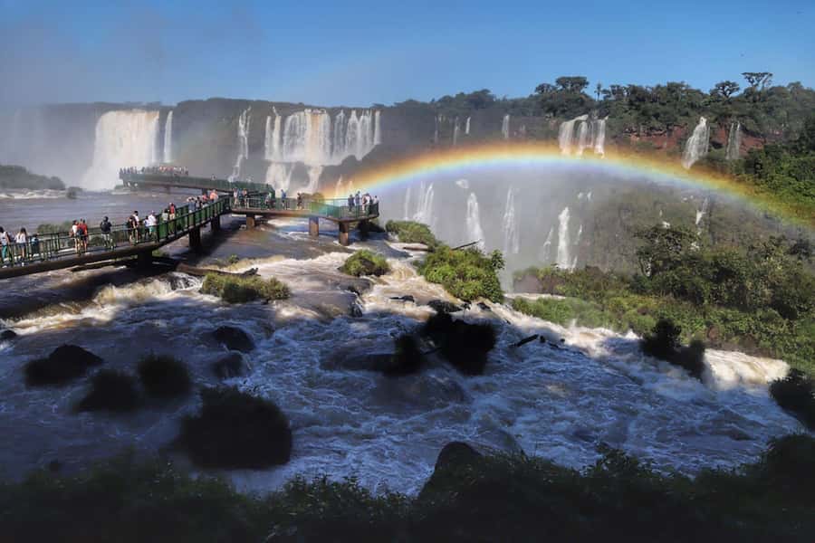 Explore the Falls, Bird Park and Macuco Safari - Why this Foz do Iguaçu day works so well