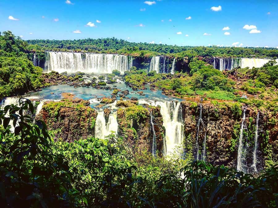 Explore the Falls, Bird Park and Macuco Safari - What the $230 price really covers