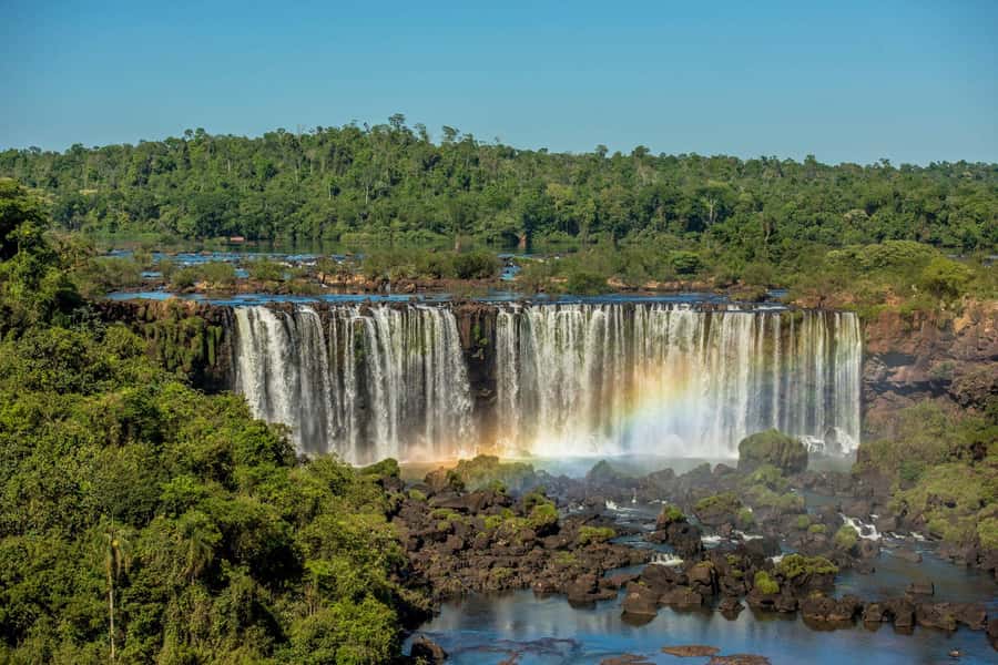 Explore the Falls, Bird Park and Macuco Safari - Seeing Iguazu National Park from the panoramic circuit