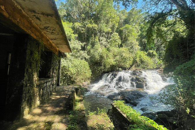 Explore Trails in the Atlantic Forest at the Brazilian Falls - Key points to know before you book
