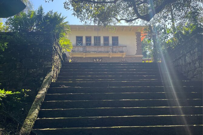 Explore Trails in the Atlantic Forest at the Brazilian Falls - Finishing at the Brazilian-side Iguaçu Falls Trail