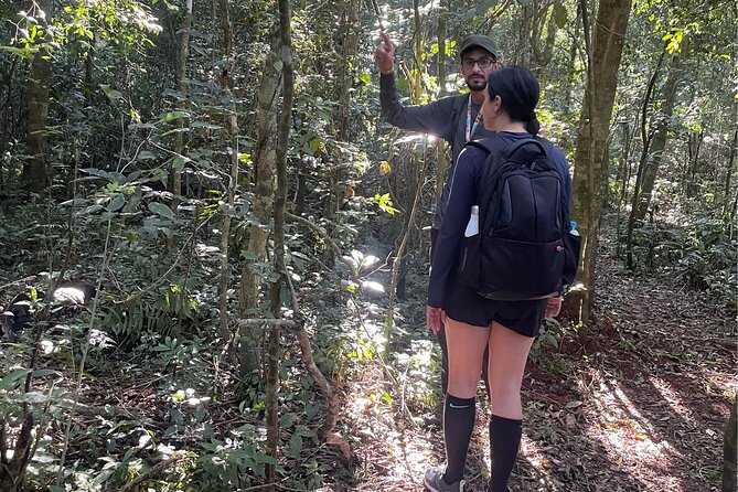 Explore Trails in the Atlantic Forest at the Brazilian Falls - What the guide adds to the walk