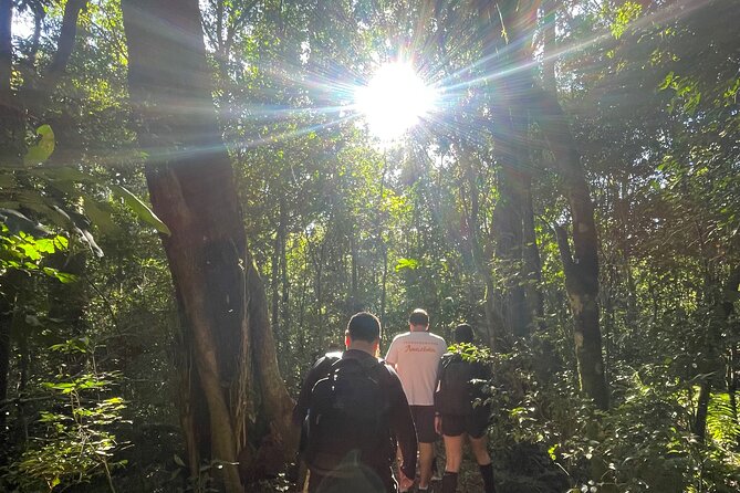 Explore Trails in the Atlantic Forest at the Brazilian Falls - Starting early with hotel pickup in Foz do Iguaçu