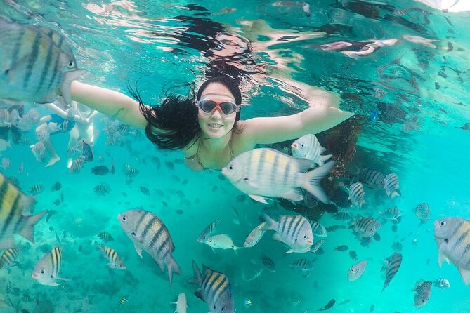 Exploring Angra Dos Reis and Ilha Grande in One Day - Japariz Beach and the included Brazilian buffet