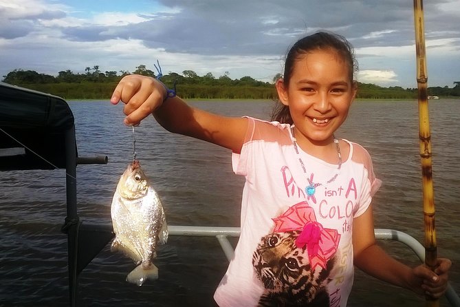 Exploring the Amazon by Boat with Sunset and Wildlife Observation - Seeing the meeting of the waters