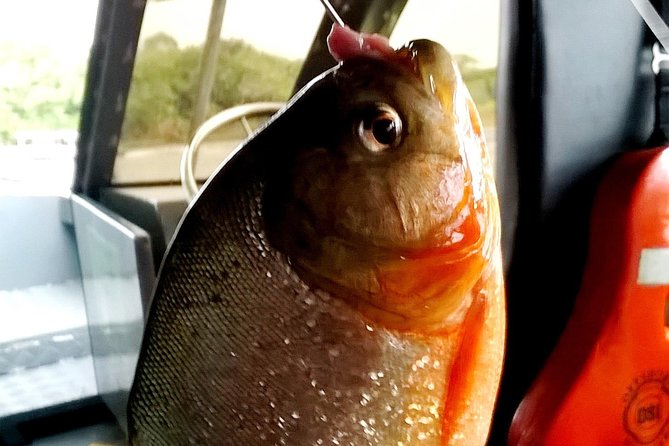 Exploring the Amazon by Boat with Sunset and Wildlife Observation - Piranha fishing with a purpose