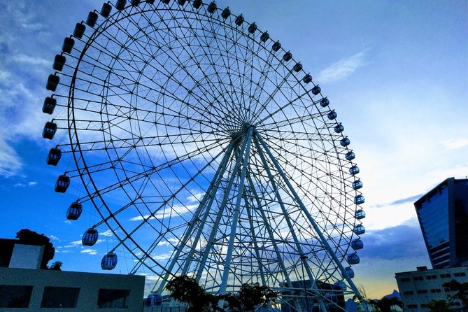 Ferris Wheel Panoramic View & Olympic Boulevard with Transfer - Is $70 a fair price?