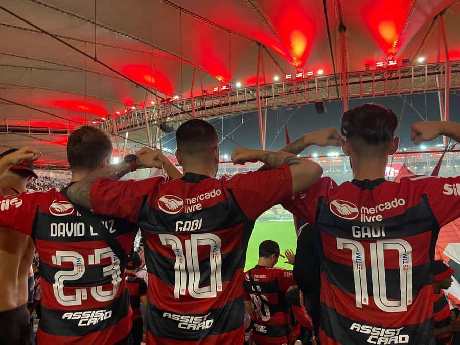 Flamengo Game Experience at the Maracanã Stadium - What your guide adds to the evening