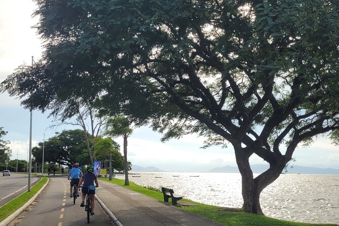 Florianopolis Bike Tour: Photography, History & Street Food - Florianópolis Cathedral in the heart of the old center