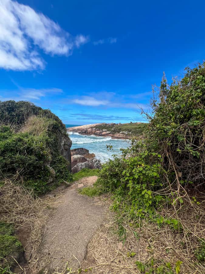Florianopolis: Gravata Beach Trail with Picnic - From Florianopolis Into the Atlantic Forest