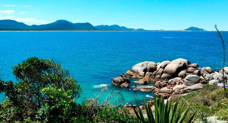 Florianópolis: Historical Center, Beach & Nature Tour - Crossing Hercílio Luz Bridge
