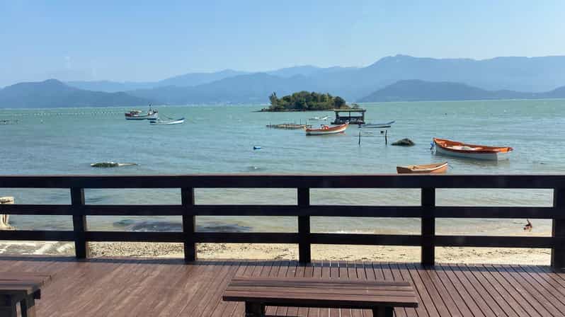Florianópolis: South Naufragados Trail - Key details before you book