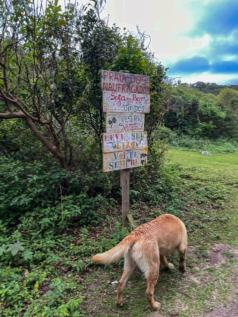Florianópolis: South Naufragados Trail - What the six-hour schedule really feels like