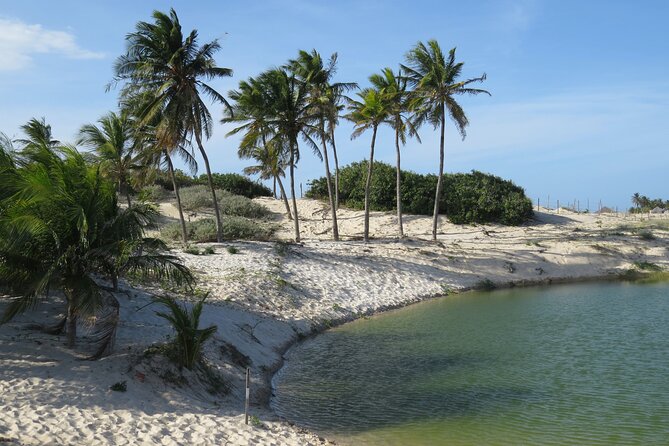 Fortaleza Private Walking Tour with a Local - Walking in Fortaleza’s heat