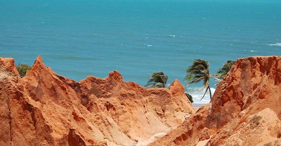 Fortaleza: Tour to Morro Branco and Fontes Beach - Guide language and service standards