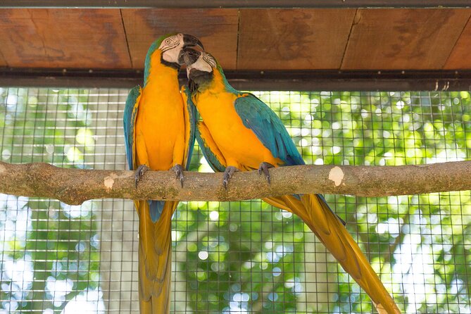 Foz do Iguaçu Airport Shared Transfer - Arrival transfers and departure transfers