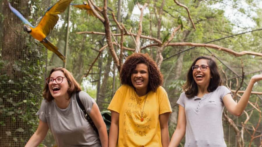 Foz do Iguaçu: Bird Park Tour with Tickets - Why Parque das Aves is worth your morning