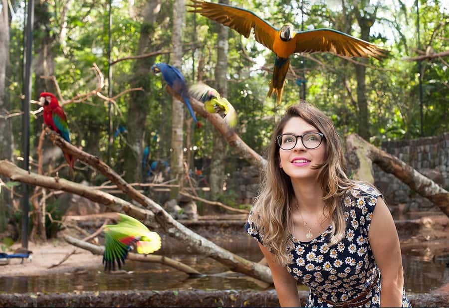 Foz do Iguaçu: Bird Park Tour with Tickets - The Flamingo Lake restaurant stop