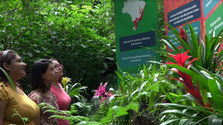 Foz do Iguaçu: Bird Park Tour with Tickets - Should you book this Bird Park tour?