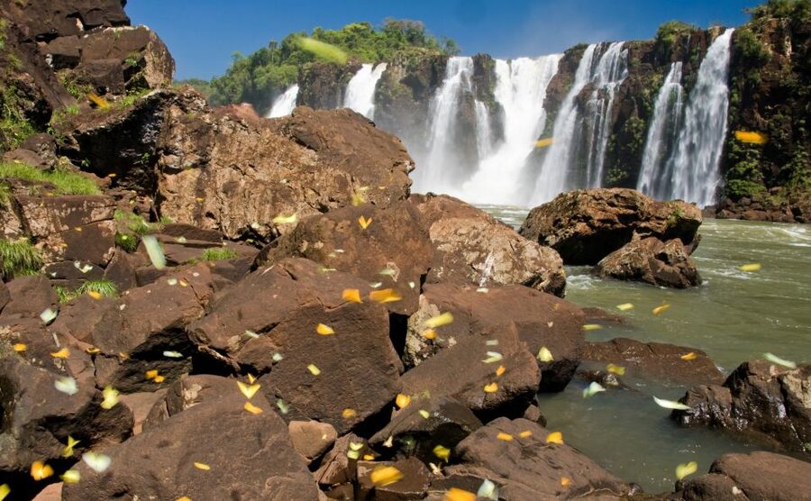 Foz do Iguaçu: Brazilian Side of the Falls - The upper falls, stairs, and panoramic elevator