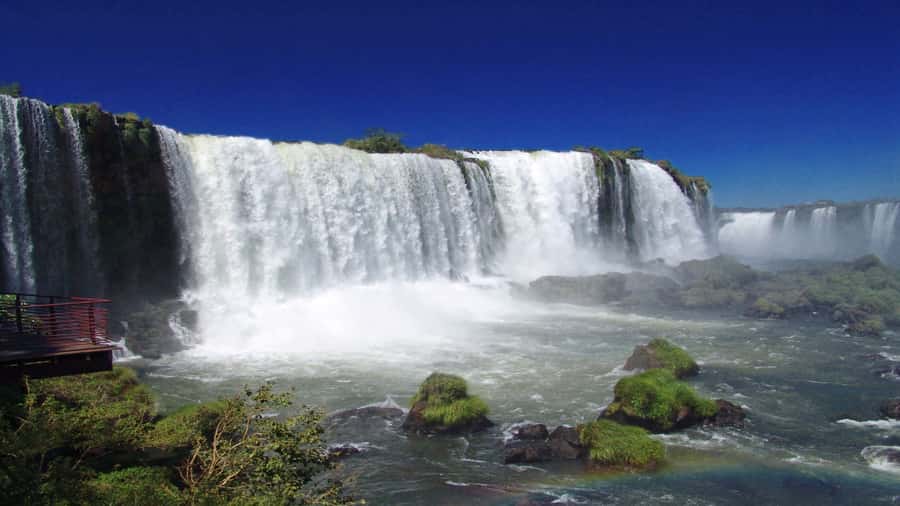 Foz do Iguaçu: Brazilian Side of the Falls + Bird Park - Why combine Iguaçu Falls with the Bird Park?