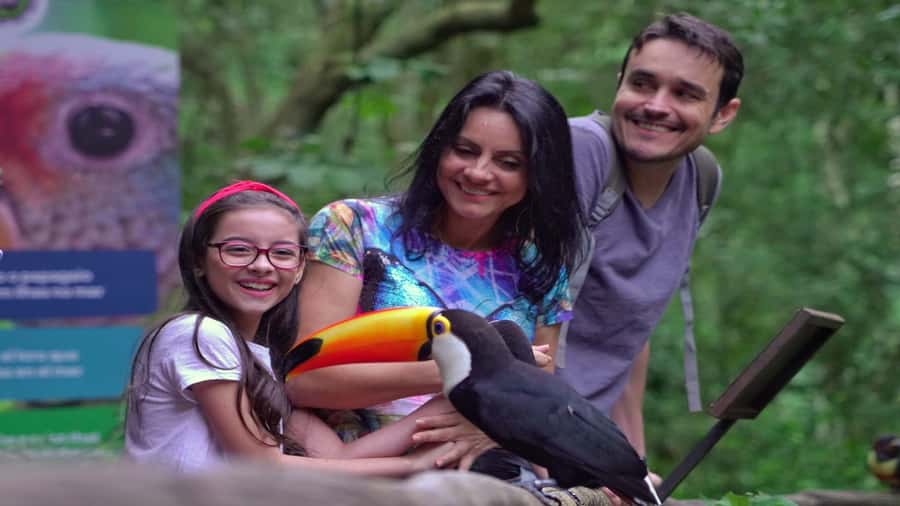 Foz do Iguaçu: Brazilian Side of the Falls + Bird Park - The Devil’s Throat platform and panoramic elevator