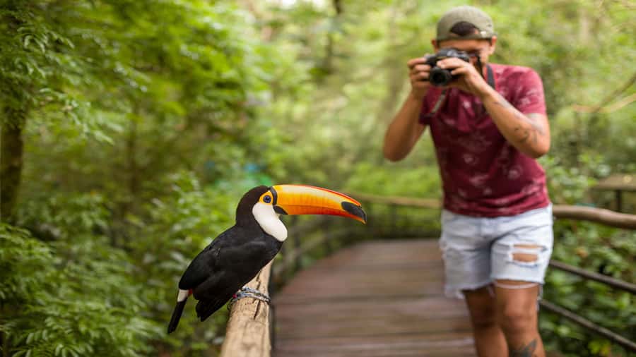 Foz do Iguaçu: Brazilian Side of the Falls + Bird Park - Is $50 a good value?