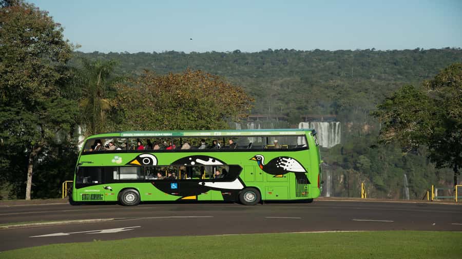 Foz do Iguaçu: Brazilian Side of the Falls + Bird Park - Starting with the Bird Park
