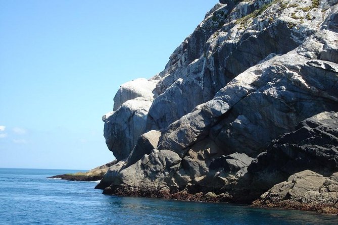 From Búzios to Arraial on a Private Tour! - Praia do Farol gives you 40 minutes to swim