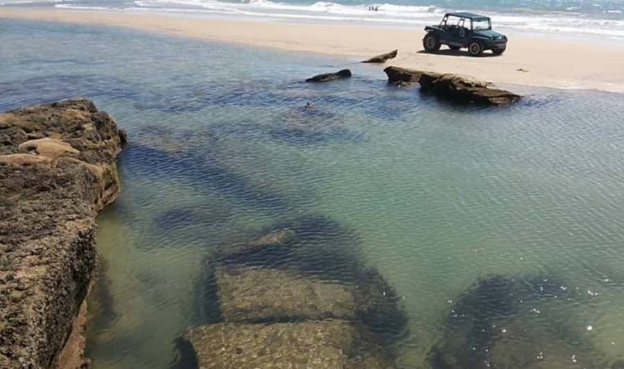 From Fortaleza: Águas Belas Beach Day Trip - Free time on a small Ceará beach