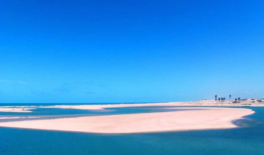 From Fortaleza: Águas Belas Beach Day Trip - The buggy ride and river crossing