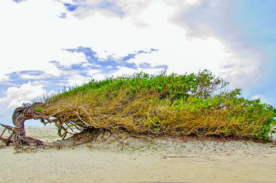 From Fortaleza: Day Trip to Jericoacoara - Jijoca and the switch to a 4x4