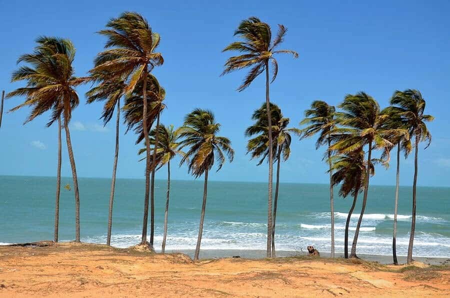 From Fortaleza: Lagoinha Beach Day Trip - What the $18 price really covers