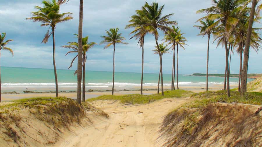 From Fortaleza: Lagoinha Beach Day Trip - Arriving at Lagoinha Beach