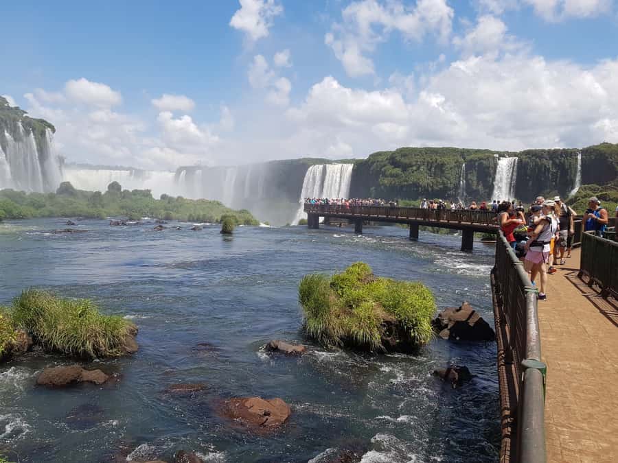 From Foz do Iguaçu: Brazilian Falls and Bird Park Tour - Key points at a glance