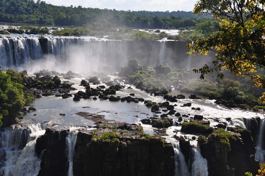 From Foz do Iguaçu: Brazilian Falls and Bird Park Tour - Why this pairing works so well