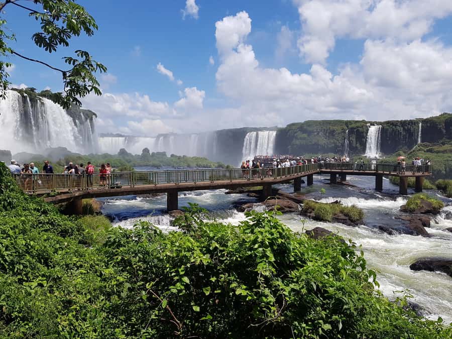 From Foz do Iguaçu: Brazilian Falls and Bird Park Tour - Entering Iguazu National Park