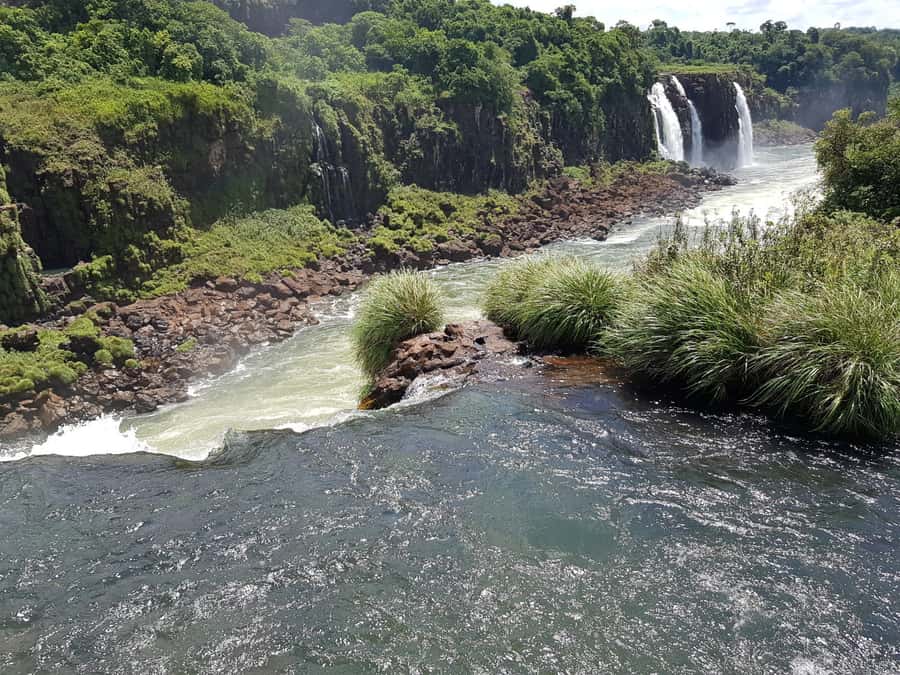 From Foz do Iguaçu: Brazilian Falls and Bird Park Tour - What the $38 price really covers
