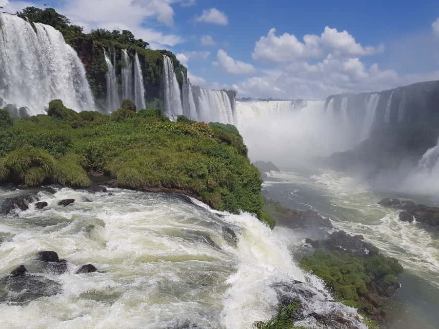 From Foz do Iguaçu: Brazilian Falls and Bird Park Tour - The Bird Park: close views and careful animal care