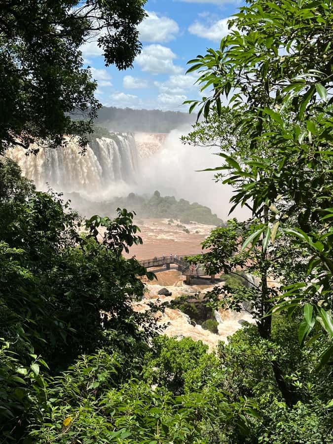 from Foz do Iguaçu: Private Tour on Argentinean Falls - Key points to know before booking