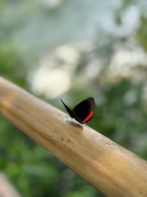 from Foz do Iguaçu: Private Tour on Argentinean Falls - Devil’s Throat, the day’s most powerful sight