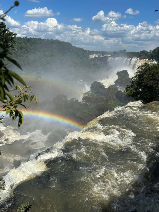 from Foz do Iguaçu: Private Tour on Iguaçu Falls - The Bird Park adds a different kind of nature stop