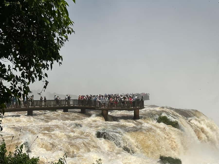 from Foz do Iguaçu: Private Tour on Iguaçu Falls - Starting through the Atlantic Forest