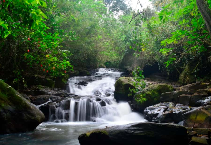 From Foz do Iguaçu: Secret Falls Adventure - Meeting on Rua Manêncio Martins and reaching the trail