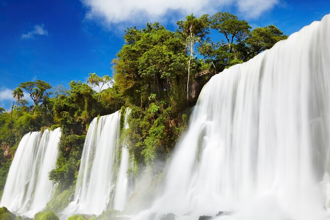 From Iguaçu: Argentinian Side with Rainforest Ecological Train - Who should book this six-hour outing?